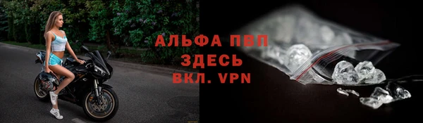 спиды Арсеньев
