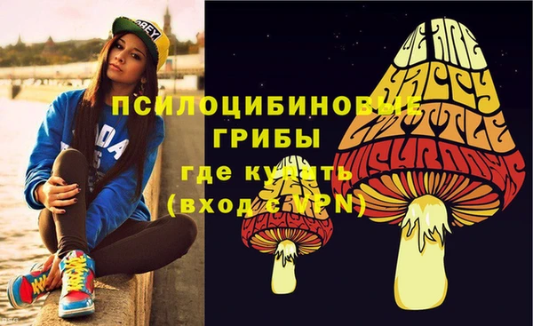 трава Армянск