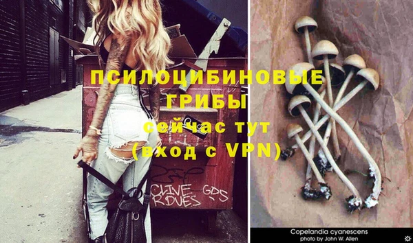 метамфетамин Аркадак