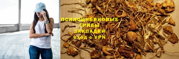 мяу мяу мука Баксан