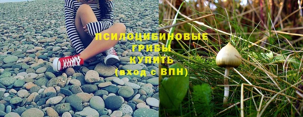 трава Армянск