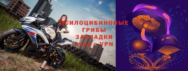 мяу мяу мука Баксан