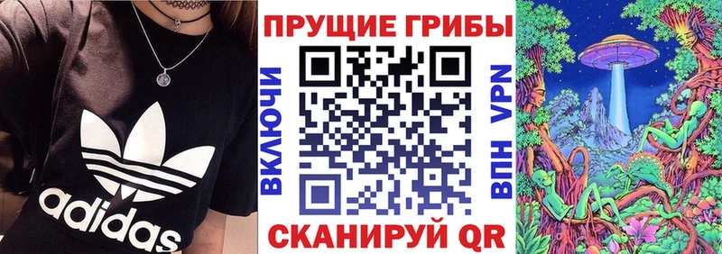 Псилоцибиновые грибы Psilocybine cubensis  Мураши 
